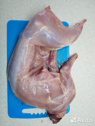 Крольчатина