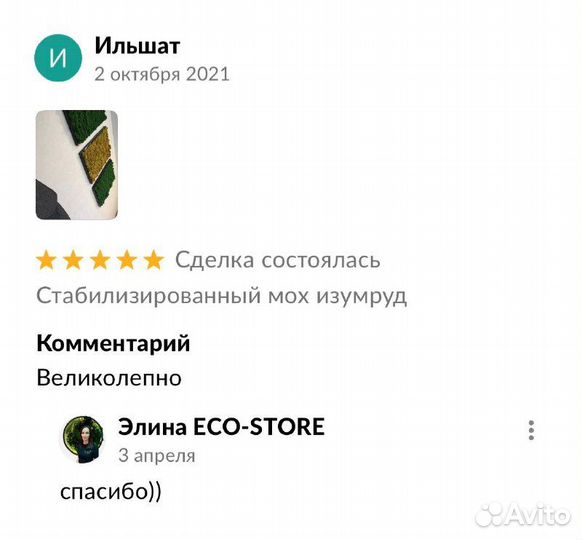 Круг панно из мха с подсветкой