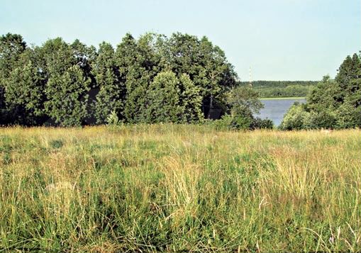 Участок 10,2 сот. (СНТ, ДНП)