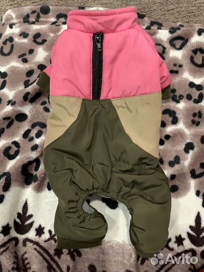 Одежда для маленьких пород собак