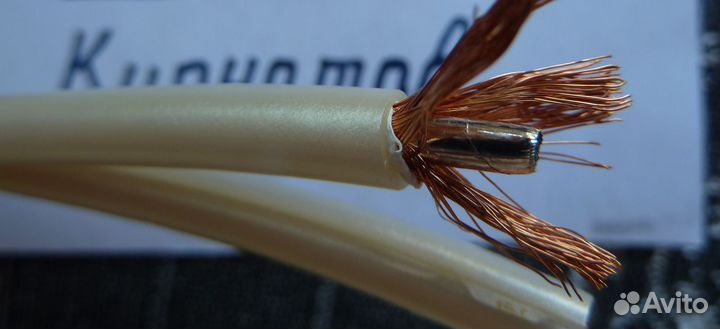 QED X-tube XT300