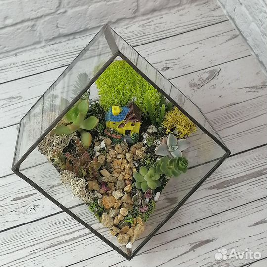 Флорариум Куб усеченный с домиком