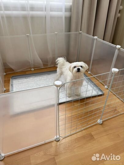 Прозрачный манеж вольер для котят щенков