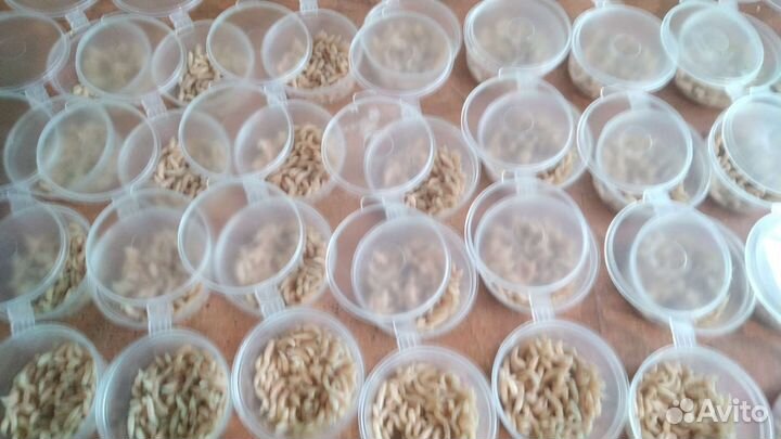 Охота рыбалка