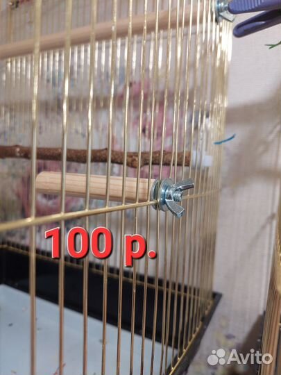 Жердочка для попугая, Стенд для попугая