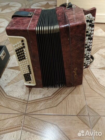 Баян Тула 202