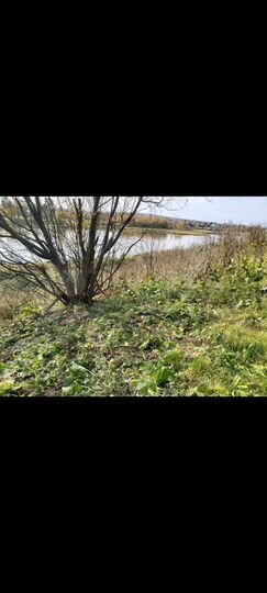 Участок 12 сот. (ИЖС)