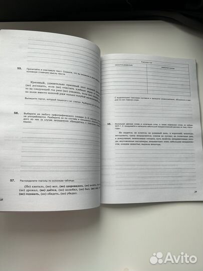 Рабочая тетрадь по русскому языку 6 кл Новая