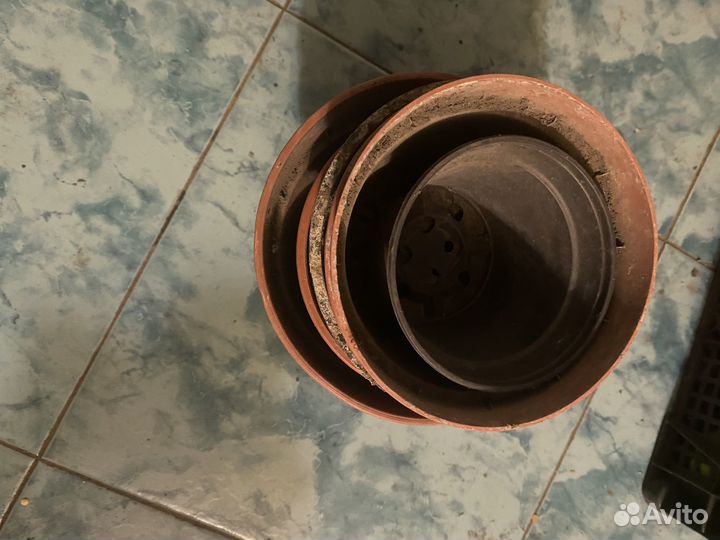 Горшки для растений пластиковые бу