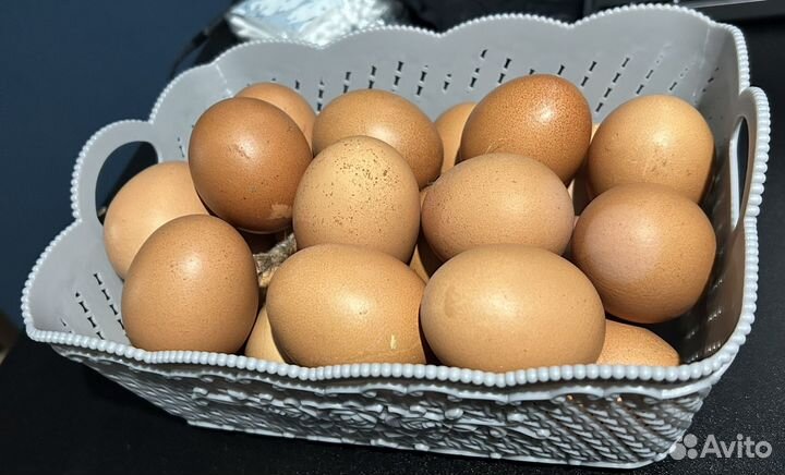 Домашние куриные яйца