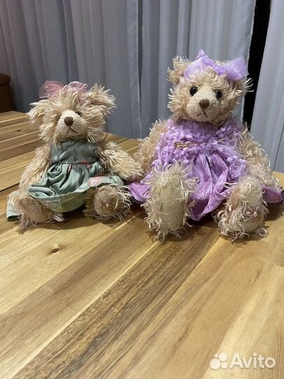 Мишки Settler Bears
