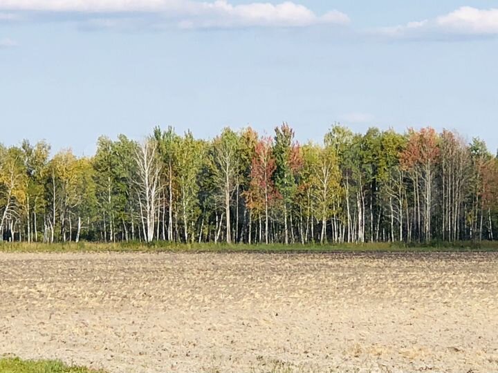Участок 23 га (СНТ, ДНП)