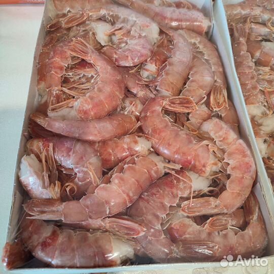 Лангустины креветки