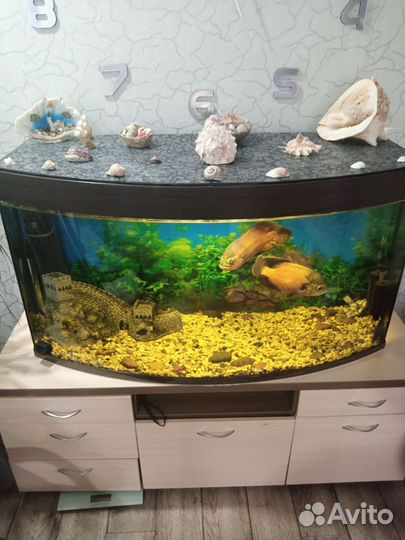 Аквариум с тумбой 300 литров