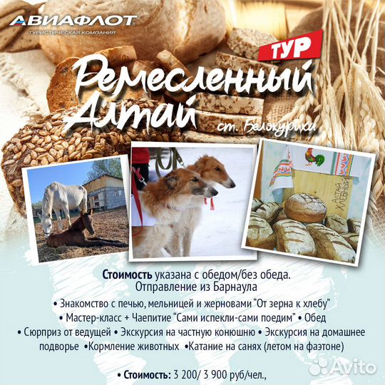 Экскурсия 