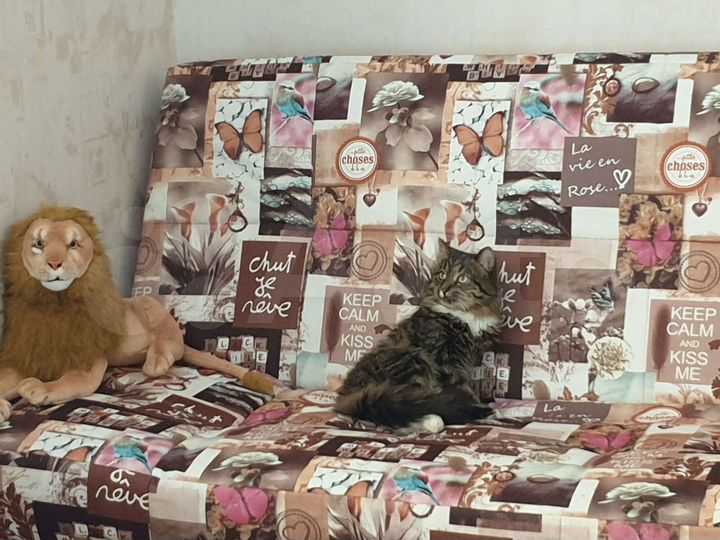 Квартира-студия, 29,4 м², 19/19 эт.