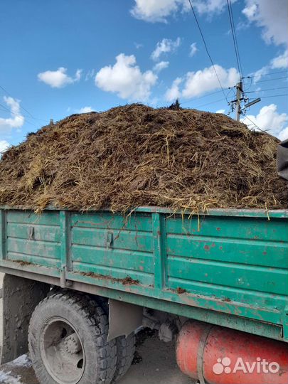 Привезу перегной навоз щебень отсев