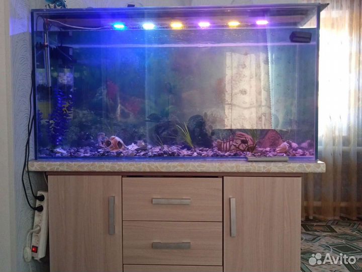 Аквариум 250л