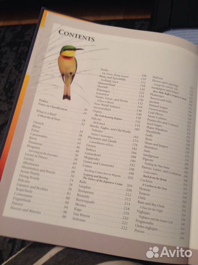 Энциклопедия птиц на английском языке