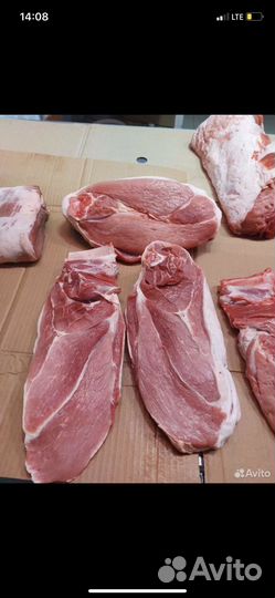 Мясо свинина домашняя
