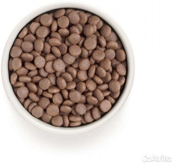 Грандорф корм для собак Рыба 10кг