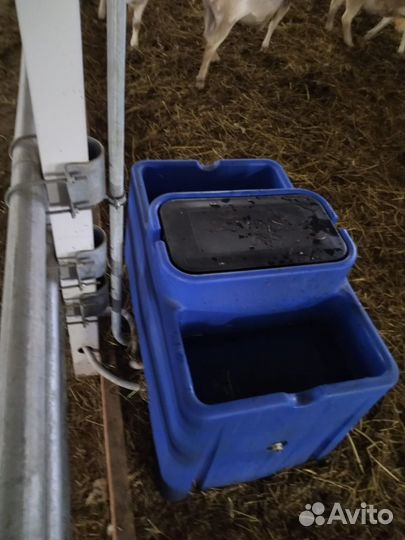 Поилка для крс пластиковая