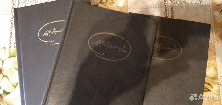 Стихотворения, сказки, поэмы и проза Пушкин