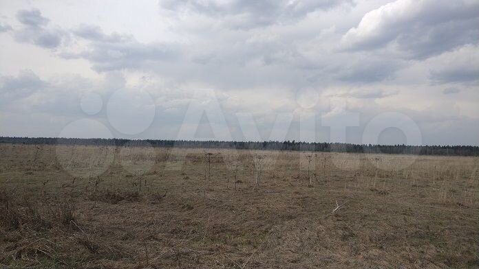 Участок 31,4 сот. (ИЖС)