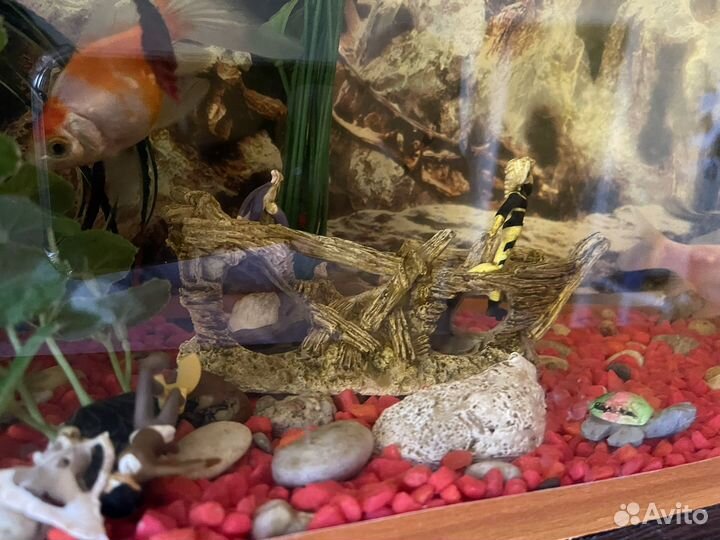 Аквариум с фильтром, рыбками и украшениями
