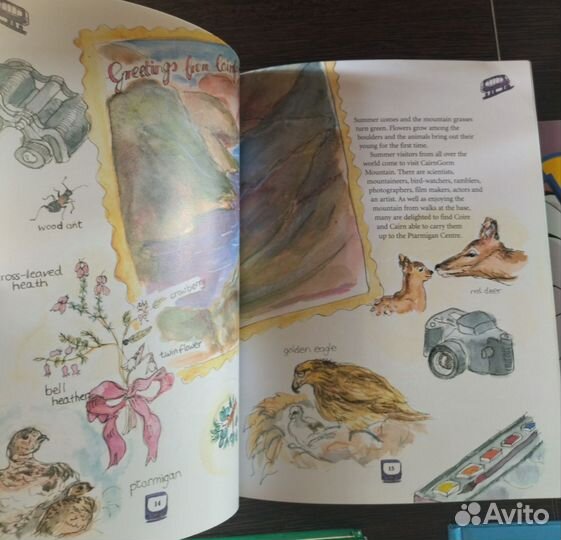 Детские книги на английском, 4—9 лет