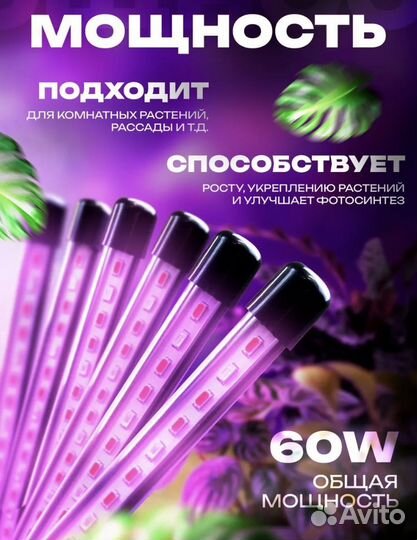 Фито лампа для растений