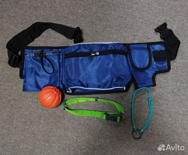 Амуниция, одежда для собак