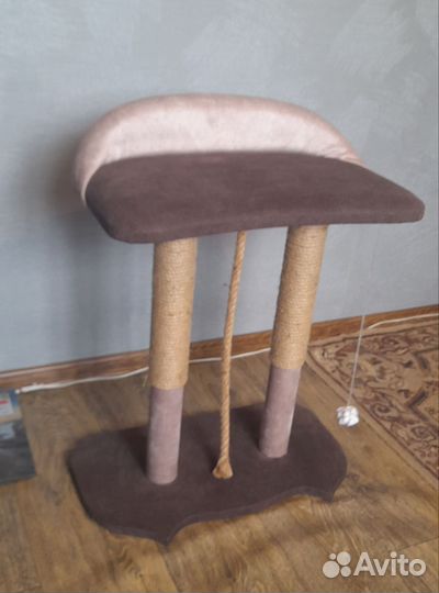 Когтеточка