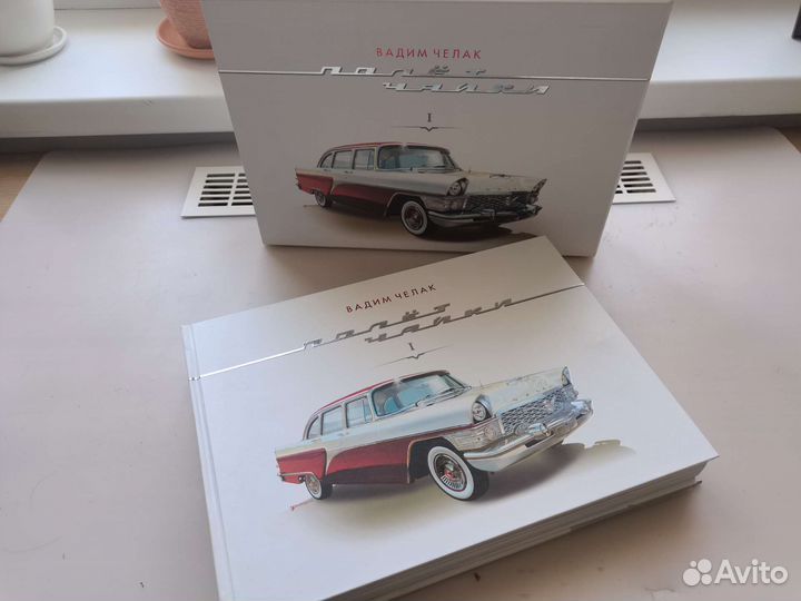 Полет Чайки