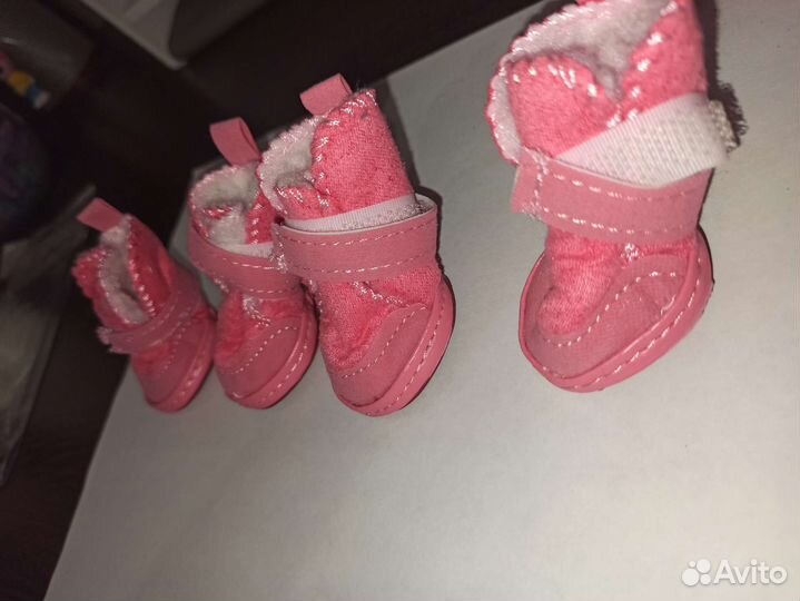 Ботинки для собак