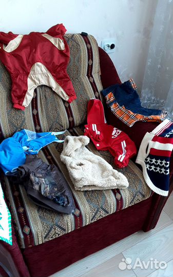 Одежда для собачки. Новая