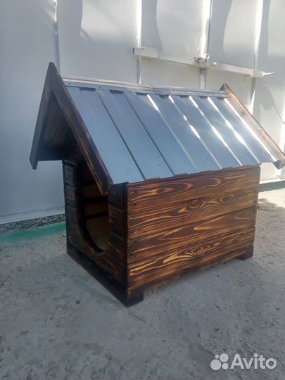 Собачья конура