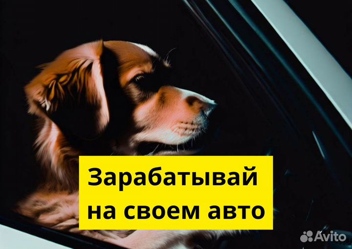 Водитель с авто Яндекс GO ждет вас