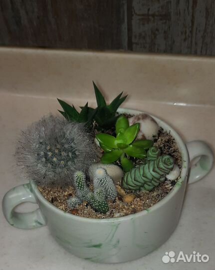 Цветочная композиция новогодняя