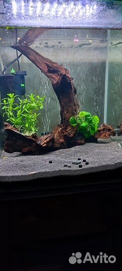 Грунт Пропант 