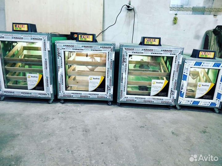 Инкубатор на заказ