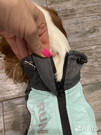 Комбинезон дождевик для собаки