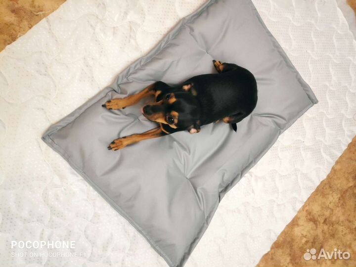 Лежанка для животных (кошки или собаки)