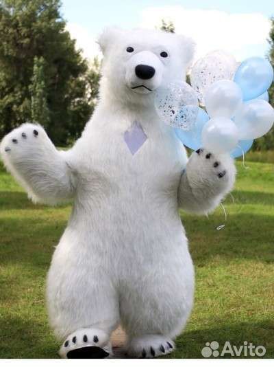 Белый мишка, аниматор