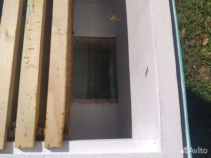 Улей лежак ппс