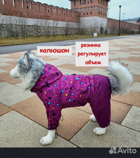 Одежда для маленьких собак