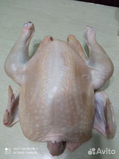 Мясо домашнего Бройлера