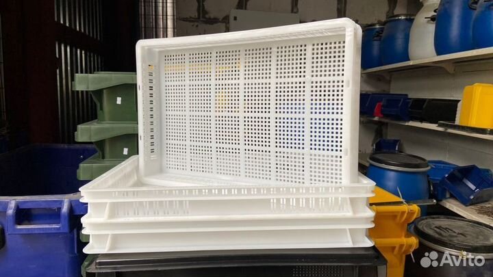 Лотки Пластиковые Ящики 600х400х75 склад г.Казань