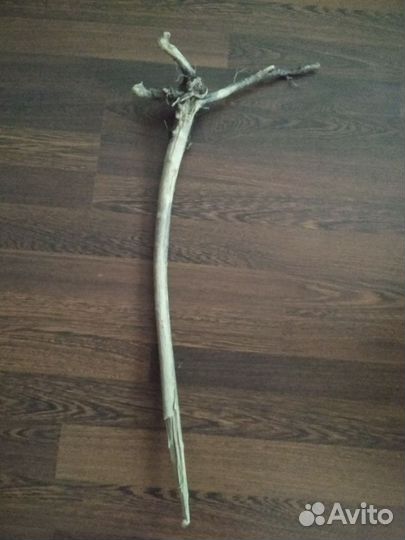 Коряги дрифтвуд