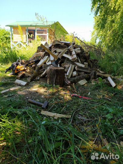 Спил деревьев